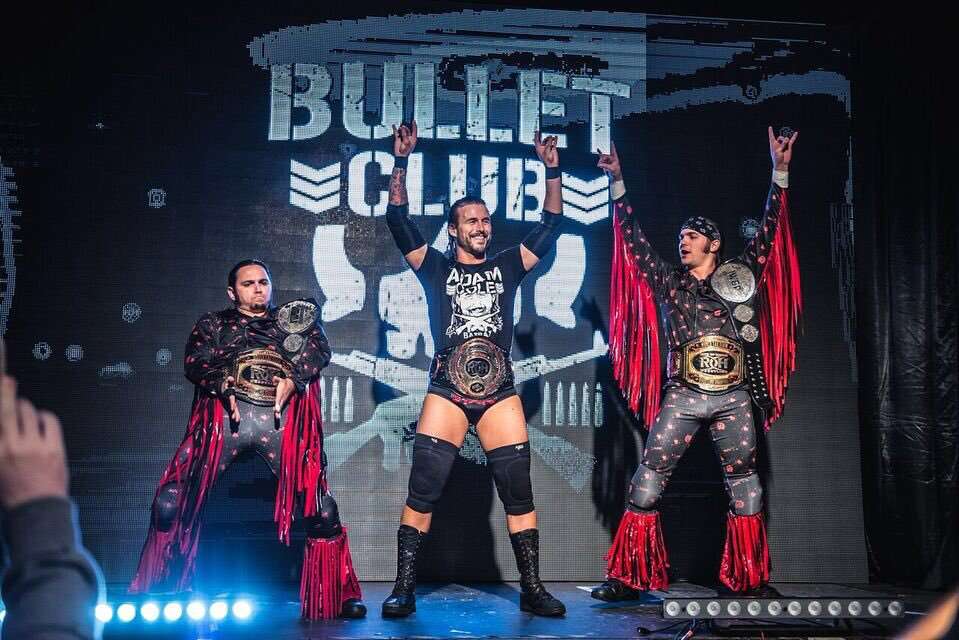 adam cole bullet club shirt